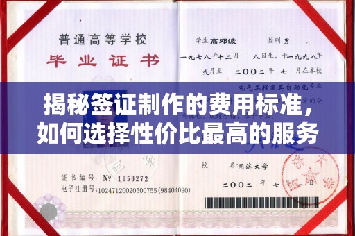 灵寿揭秘签证制作的费用标准，如何选择性价比最高的服务？